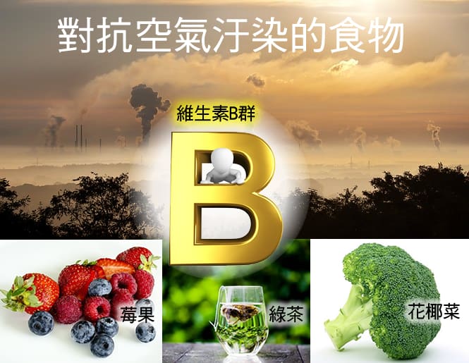 維生素B與其他對抗空氣汙染的食物營養