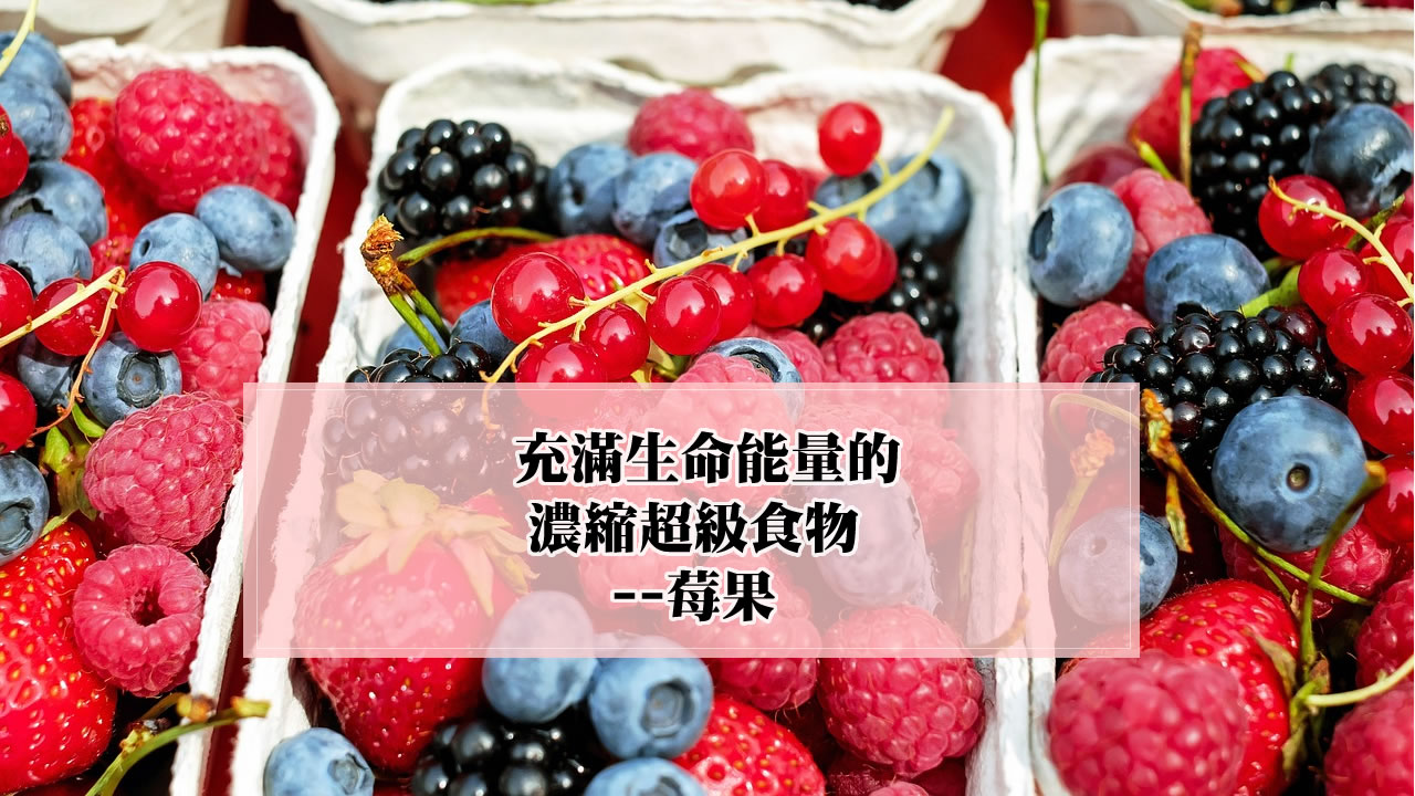 濃縮超級食物-莓果